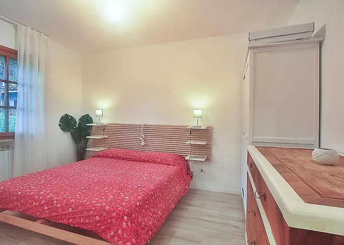 Passiflora * Lignano Sabbiadoro